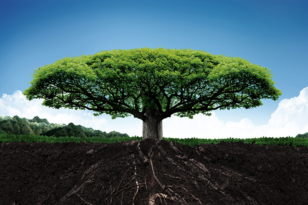 品牌生态的隐形生长：一场向下的革命