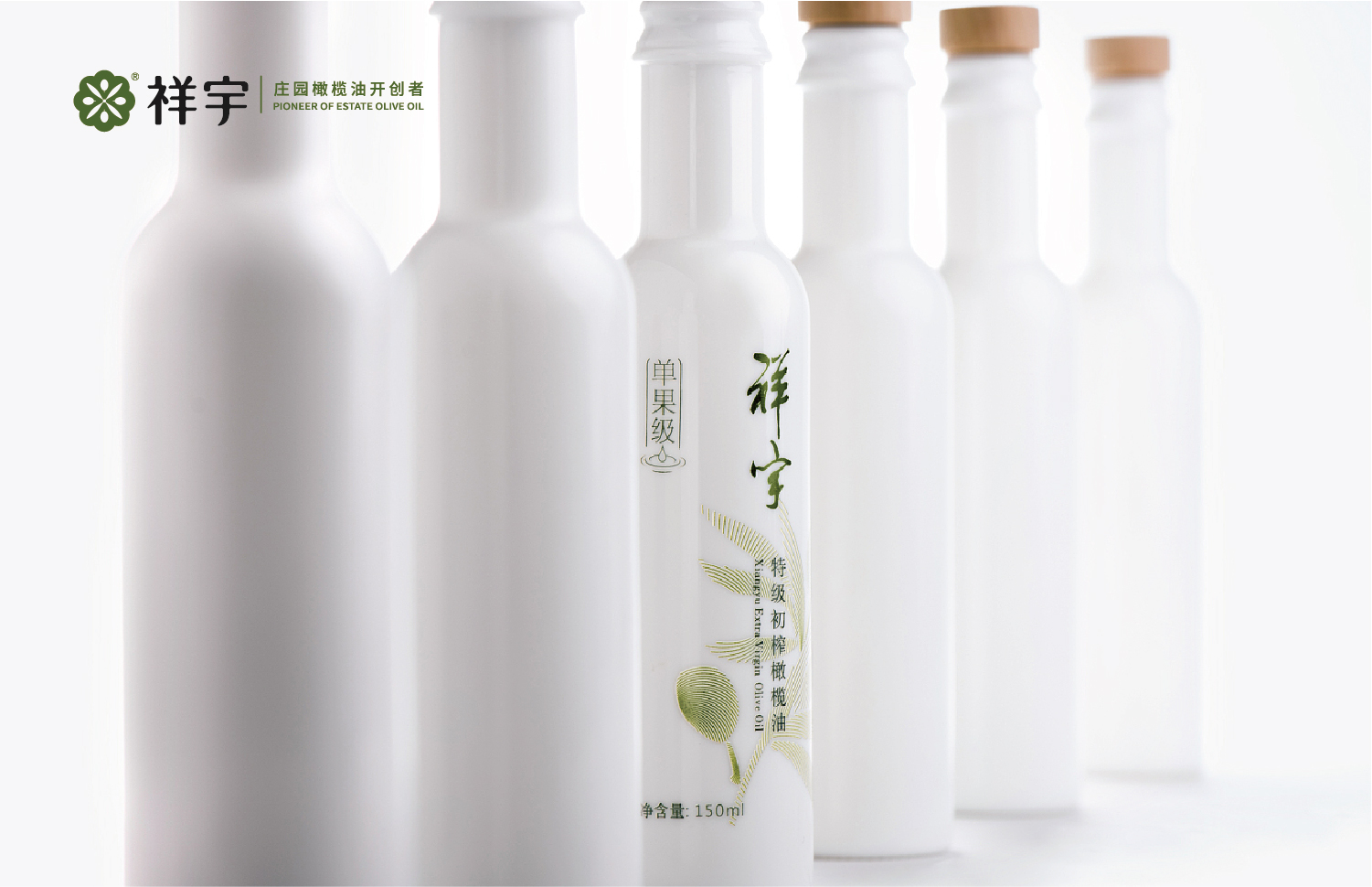 20251211_画板 1 副本 3.jpg